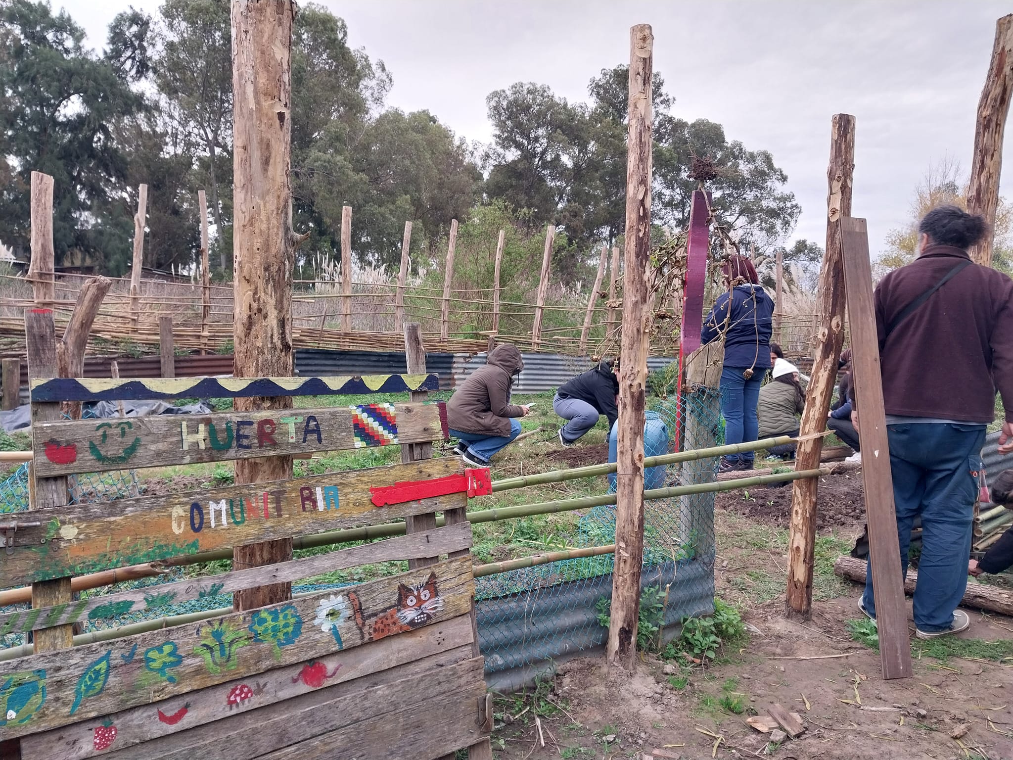 Imagen 1. Huerta comunitaria en Punta Querandí, Dique Luján, Provincia de Buenos Aires